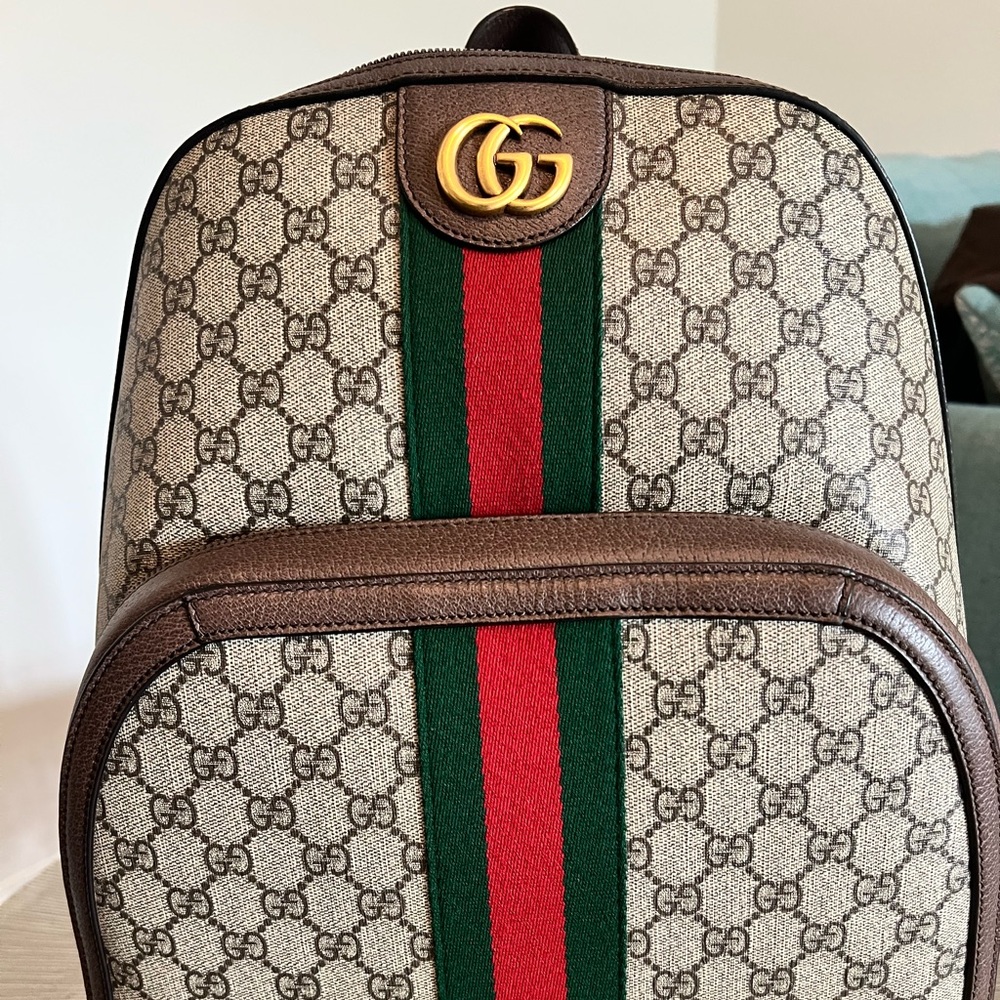 Gucci Brown and Green Backpack with Signature Stripe